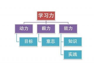 学习的能力和思维 - 思维和能力的联系