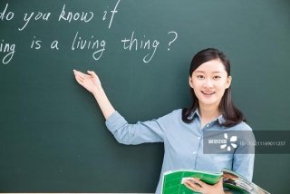 教师学习培训情况；教师培训情况汇总表