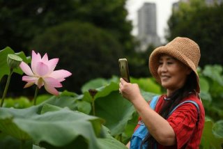 外出学习通知怎么写，外出游学通知