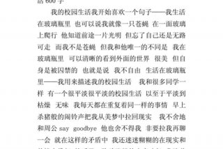 初三的学校生活作文（初三的学校生活作文600字）