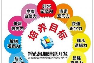学习理解类活动 - 理解力主题课程