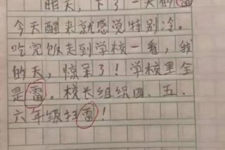 小学生的日记怎么写；小学生的日记怎么写？