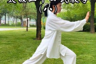 太极拳初学入门视频 - 太极拳初学入门视频24式教学