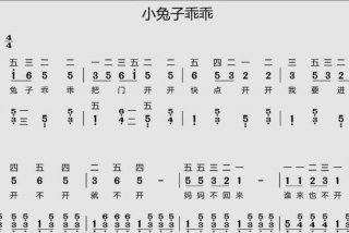 简谱 学小兔 小兔小兔学走路、小兔乖乖学走路什么歌