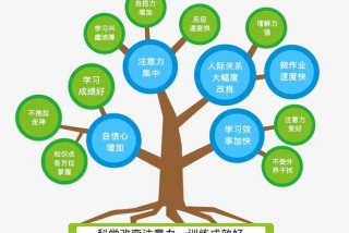 学习专注力差怎么提高 - 学什么提升专注力