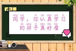 夸学习刻苦努力的句子