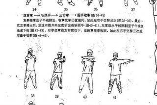 如何在家学（如何在家学会咏春拳）