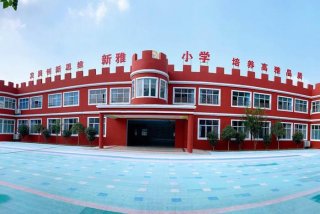 小学英语学习视频（小学初步学英语视频）