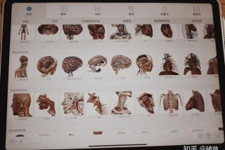 医学生平板学习软件、医学生用哪款ipad