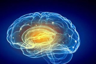 记忆力降低怎么办、记忆力减弱怎么办