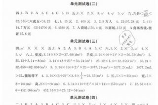 自主能力测评单元测试卷答案六年级、自主能力测评单元测试卷答案六年级数学