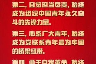 共青团学习感言 共青团感悟心得体会