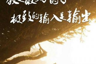 最好的学就是教，教就是最好的学原理