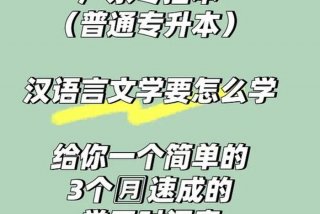 学习v语言 - 学语言应该怎么学