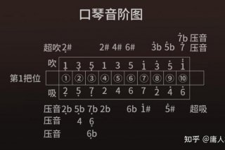 学习口琴入门直播间、口琴入门课程