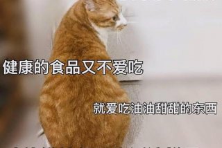 削西是什么、削廋的意思