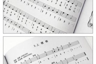 学乐谱从零开始、学乐谱从零开始学什么