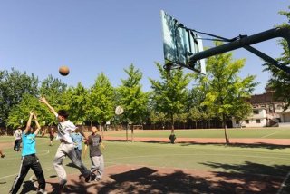 高中学习教育（高中阶段教育）