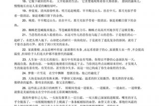 每天学习的句子（课外积累好词好句）