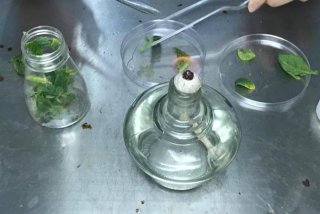 培养学习兴趣的书；培养兴趣的书籍推荐