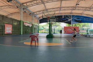 学习打篮球视频，初学打蓝球的视频