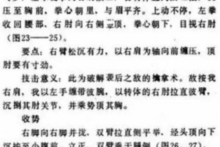 功夫教学；功夫教学,实用肘法