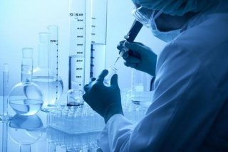 研究性学习开题报告模板、研究性课题开题报告模板