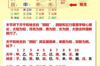 八字学习指导 - 八字入门基础知识视频教程