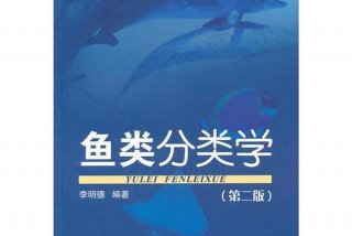 鱼学习动画片（鱼得动画片）