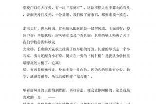 感悟学校风土人情开头作文 感受校园风光
