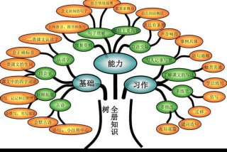 知识树是哪个学习策略（知识树作用）