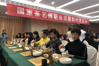 茶艺培训师培训机构、茶艺培训师培训机构怎么办理