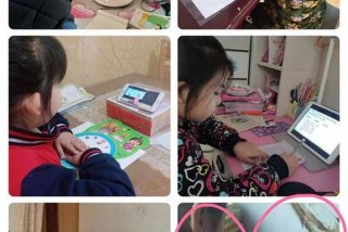 自学习网 小学自学网课