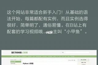 网站学习教程、教程 网站