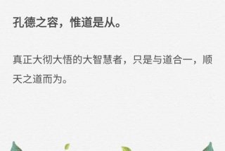 道德经妙解 道德经妙解郭永进视频讲解