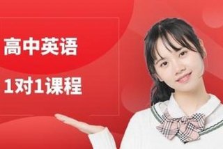 英语学习课程视频一对一（英语视频一对一教学）