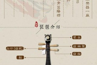 学习琵琶乐器 琵琶乐器教学视频