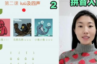 小学拼音教学视频全集免费（小学拼音教学视频全集免费阿）