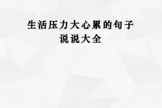 描写学业压力大的句子 形容学业压力大的成语