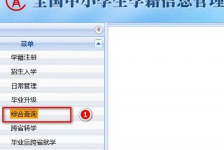 学籍号怎么查询、小学生全国学籍号怎么查询
