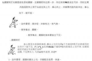 拳击自学教程（拳击自学教程文字）