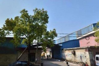 申伦学校、申伦中等技术学校