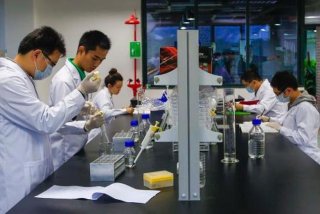 研究性学习报告范文高中 高中研究性报告范文1000字