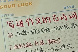 今天我们为什么要学古诗词、今天我们为什么要学古诗词作文高中