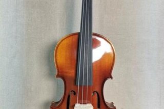 学小提琴的好处和坏处，强烈建议让小孩学的乐器