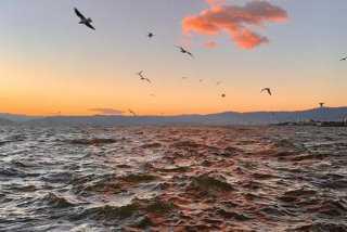 关于学习手抄报英文，关于学英语的手抄报