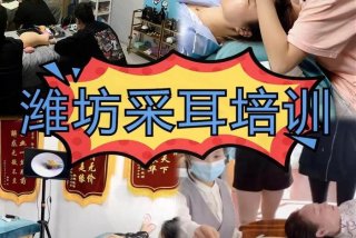 学采耳的基本功、学采耳的基本功有哪些