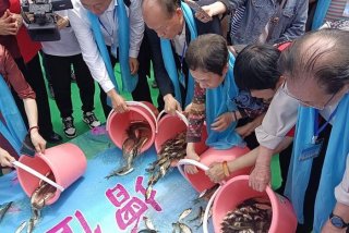 放生活动流程，放生活动宣传语