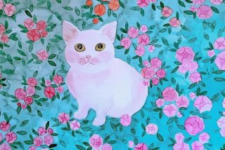 流浪猫的图片大全 流浪猫图画