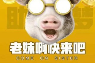 叮咚生活日记，叮咚生活日记app